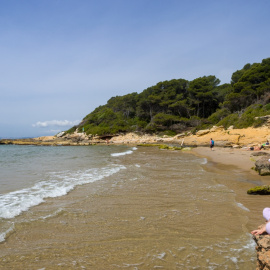 Platja de l'Arboçar (Cala Fonda o Waikiki)