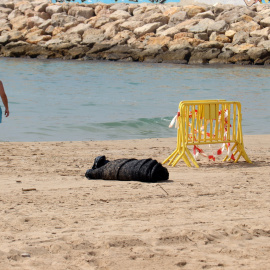 La zona on han trobat el cos sense vida d'un nen d'entre dos i quatre anys a Roda de Berà