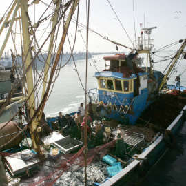 Un barco de pesca entra en el puerto de Laayoune, la principal ciudad del Sahara Occidental controlada por Marruecos.