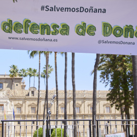 Detalle de la manifestación 'En defensa de Doñana', a 14 de mayo de 2023 en Sevilla (Andalucía).