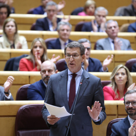 MADRID, 22/11/2022.- El líder del PP, Alberto Núñez Feijóo, interviene en el pleno del Senado en Madrid este martes. EFE/Kiko Huesca