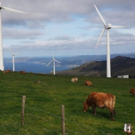 29/11/22 Molinos aerogeneradores en monte de Galicia frente al mar.