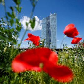 Vista del rascacielos de Fráncfort donde tiene su sede el BCE. REUTERS/Ralph Orlowski