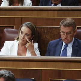 El líder del PP, Alberto Núñez Feijóo y la secretaria general de la formación, Cuca Gamarra, durante la sesión constitutiva de las Cortes Generales de la XV Legislatura 