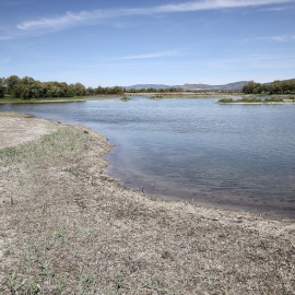 Vista de las Tablas de Daimiel, a 26 de abril de 2023, en Ciudad Real, Castilla-La Mancha.