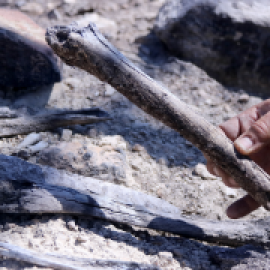 L'incendi de Corbera d'Ebre segueix deixant al descobert restes de soldats de la Guerra Civil