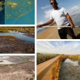 Los otros Doñana: historias de expolio de agua y vertidos