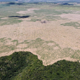 Deforestacion del Amazonas