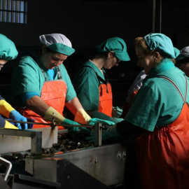 Mujeres trabajando / Europa Press