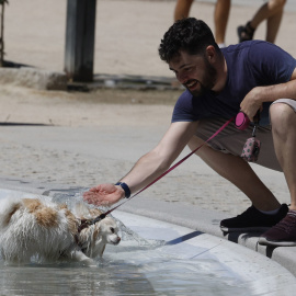 06/08/2023 - Uno perro se refresca en una fuente en Madrid con el calor en continuo ascenso, a 6 de agosto de 2023.