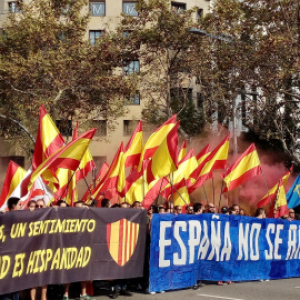 La ultradreta dóna suport i es fa visible a la manifestació convocada per Societat Civil Catalana / Javier Borràs