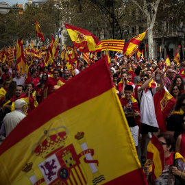 Aspecto de la manifestación en Barcelona por el día de la Fiesta Nacional. REUTERS/Juan Medina