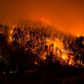 Vista nocturna del incendio forestal en el municipio orensano de Lobios, en pleno parque natural del Xurés. EFE