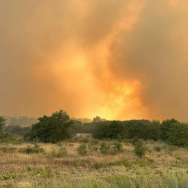 Una imatge del fum i les flames provocat per l'incendi.