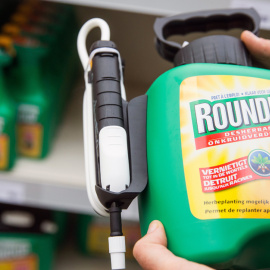 El glifosato, que comunmente se comercializa bajo la marca Roundup. EFE