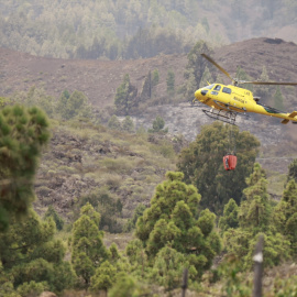 18/08/2023 - incendio Tenerife