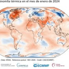 Los 13,14º de temperatura media global convierten este enero en el más cálido de la historia