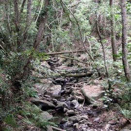 Torrent bastant sec a tocar del nucli de Mosqueroles