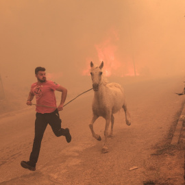 Un ganadero corre para evacuar a uno de sus caballos en medio de un incendio forestal en el área de Fyli, cerca de Atenas, Grecia.