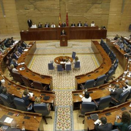 Pleno de la Asamblea de Madrid. / EFE