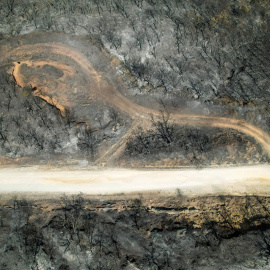 Vista de un bosque quemado tras el incendio forestal de Grecia, cerca de la aldea de Avantas, en la región de Evros, el 28 de agosto de 2023.