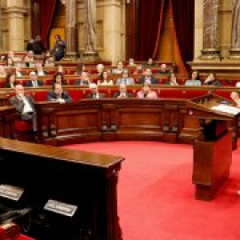 La pagesia alça la veu des del Parlament: assenyalen la "mala gestió" i unes "polítiques nefastes"