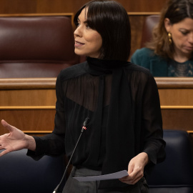 La ministra de Ciencia, Innovación y Universidades, este miércoles en el Congreso