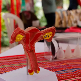 Fotografía de una campaña de cuidado menstrual.