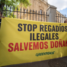 Concentración en las puertas del Parlamento Andaluz convocada por Salvemos Doñana.