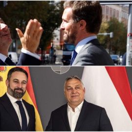 Arriba, Pablo Casado y Nicolás Sarkozy. Abajo, Santiago Abascal y Viktor Orbán.