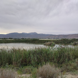 Los Saladares de Guadalentín, una de las Zonas Especiales de Conservación dentro de España cuyas aguas están más afectadas por la presencia de contaminantes persistentes como pesticidas y PFAs, según un estudio de IDAEA-CSIC.