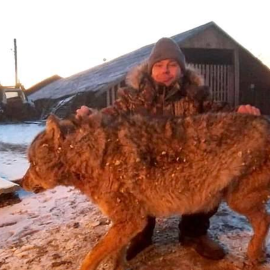 El granjero de Novotrotskoye, en el Óblast Autónomo Hebreo, en el Extremo Oriente ruso, posa con la loba que mató con sus propias manos en venganza por la muerte de un caballo y dos de sus perros. La foto fue tomada por otro vecino del asentamiento y d