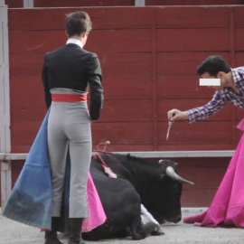 Aragón plantea catalogar a los aprendices de torero como deportistas de alto rendimiento para facilitar que compatibilicen la presencia en la escuela taurina con la ESO