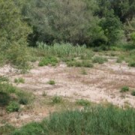 Ecologistes denuncia l'ACA per voler reduir els cabals dels rius Llobregat, Muga i Ter