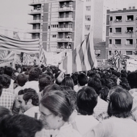 La manifestació per la Diada de 1976, a Sant Boi de Llobregat.