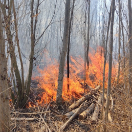 23/03/2023 - Incendi d'aquesta setmana a l'Estany d'Ivars i Vila-Sana, al Pla d'Urgell.