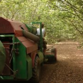 La Catalunya donde la sequía persiste: los cultivos de frutos secos y viñedos del Camp de Tarragona, al límite