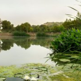 Luchar contra la sequía cuidando nuestra Tierra