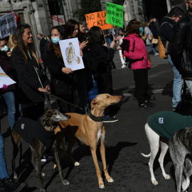 Foto de archivo de varias personas, con pancartas contra el maltrato animal marchan por la Gran Vía con sus perros, durante una manifestación contra la caza, a 6 de febrero de 2022, en Madrid.