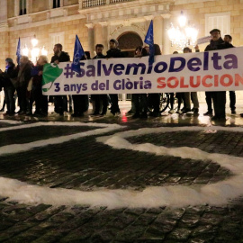 08/02/2023 - La concentració d'aquest dijous a la plaça Sant Jaume de Barcelona per reclamar accions per salvar el Delta de l'Ebre.