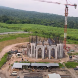 Los Heraldos del Evangelio talarán casi 200 árboles de la finca protegida donde levantarán su complejo religioso