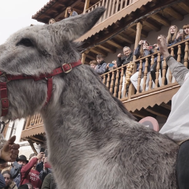 PACMA denuncia "maltrato psíquico" al burro del Peropalo en el carnaval de Villanueva de la Vera (Cáceres)