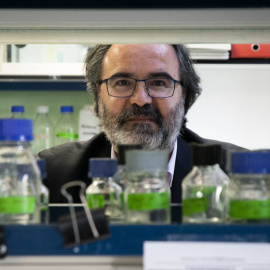 Lluís Montoliu, investigador del CSIC.