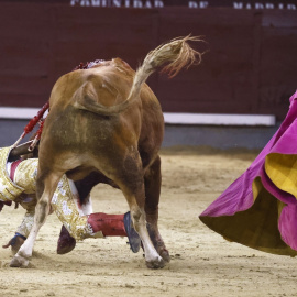 Corrida de toros