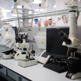 Microscopios en el laboratorio de la farmacéutica Berlimed, a 10 de octubre de 2023, en Alcalá de Henares, Madrid