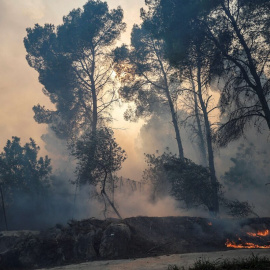 Una zona afectada por el fuego, a 3/11/2023, en Ador, València. - Rober Solsona / Europa Press.