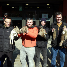 Un grup d'agricultors mostren conills vius a les portes de la seu dels Serveis Territorials d'Acció Climàtica de Lleida durant la protesta d'aquest divendres.