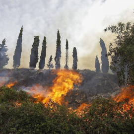 Imagen del incendio de Montitxelvo, en su tercer día activo, a 4 de noviembre de 2023.- EFE