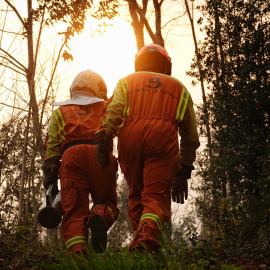 Bomberos de Asturias trabajan para controlar los incendios, a 31 de marzo de 2023.