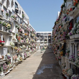 19/10/2023 - Cementerio Barbate